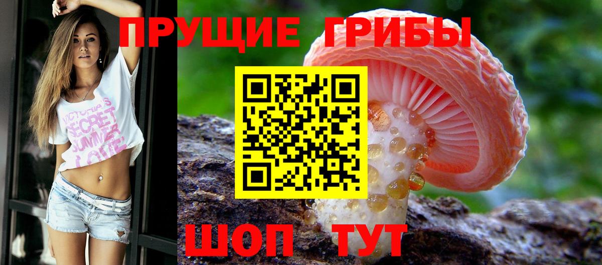 Галлюциногенные грибы Psilocybe  Вход с VPN  Псилоцибиновые грибы мухоморы  Иваново 